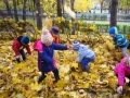 img_0755-large