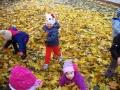 img_0763-large