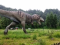 20140602_112004